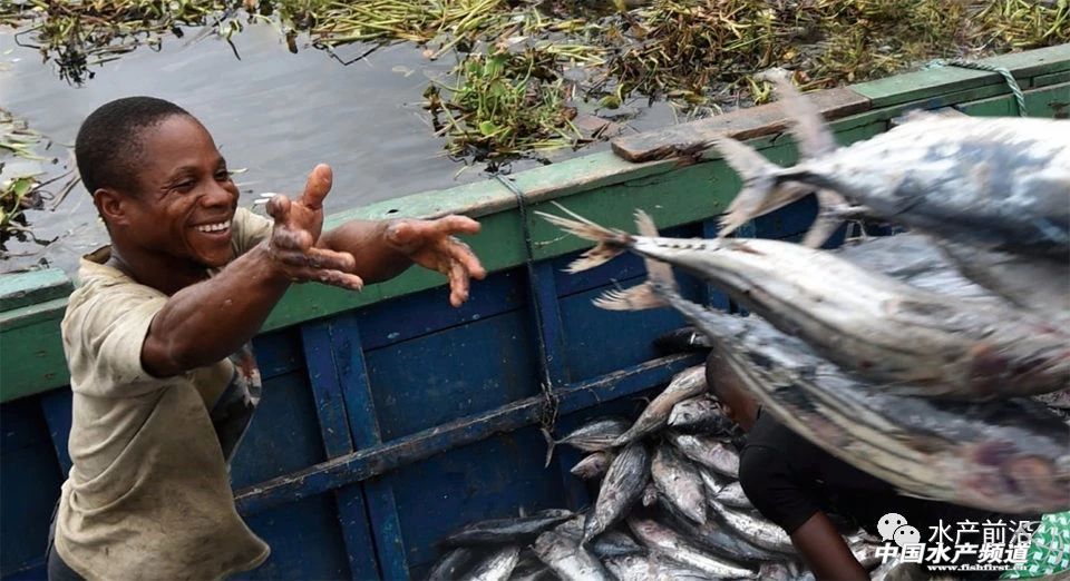 ȫ��ˮ�a(ch��n)�B(y��ng)ֳ�I(y��)����(j��ng)�����L�����ش�ؕ�I