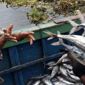 ȫ��ˮ�a�Bֳ�I���������L�����ش�ؕ�I