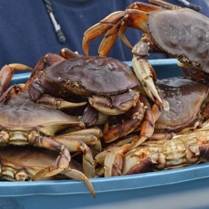 110Ԫ/���rÿ�춼���ϝq���䌚з������m�߸ߣ�