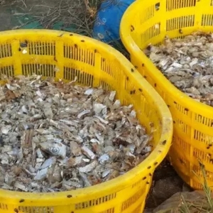 ���Ʋ�������з����߀�ñ��r���Low�ˣ����@һ�߷ʷ������������p�����f���ǉ�