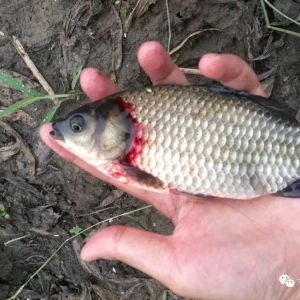 �����v�B�����п�5̖�������y�a����λ���ɹ����B���Q����2ë�X/���u�~���ܽ��ܣ�