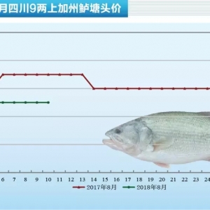 ����6Ԫ/��W���~���Л_�����Ĵ������|�ܷ�_��20Ԫ���P��|8��10�ռ����|���^�r