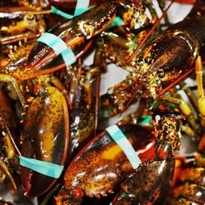 �Q�ב��_��һ���£��������r�r����m�������O����ı��L�����