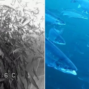 ���漼�g��4Kˮ�a�Bֳ�z��C׌�㿴���~ӑB