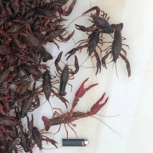 С���r�Bֳ�д�[�T�������º�ٍ22�f���E�ڴ�