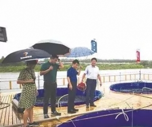 ��Ͱ�B�~�����a�����_8000�Ͱ�ﵽ���к����C��