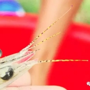 �������S���Bֳ�߹����r��20�fβ���u��170�f