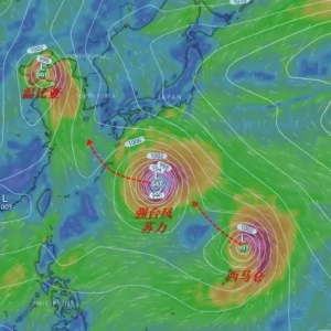 2018���19̖(h��o)��(qi��ng)�_(t��i)�L(f��ng)�K�������M(j��n)��48С�r(sh��)���侀���|�����S�����|������Ӱ�