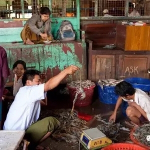 ����16Ԫ/��B(y��ng)�r�I(y��)�����ԡ��������������˽���Ї�(gu��)��(du��)�r�a(ch��n)�I(y��)ԓ��ȥ�Ώģ�