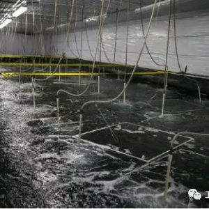 �¼��g��������ƻ�����������ˎ�����ص׸�׃ˮ�a�Bֳ����