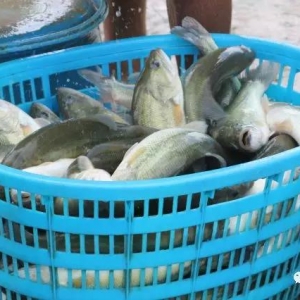 �����|���飺�~�r(ji��)ͬ�ȵ�4Ԫ/���ͨ�̅s������\(y��n)�~��