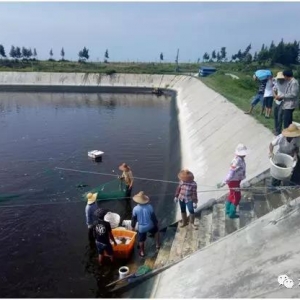 �B�r��ʮ���꣬��������J��һ����ϣ��ā���Ƿ����