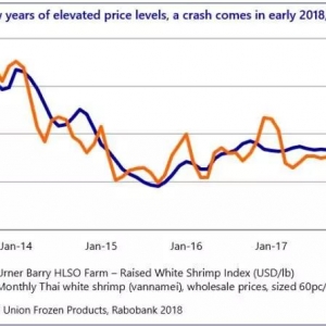 ���r���q�r����Ҫ��Ό����³�·��