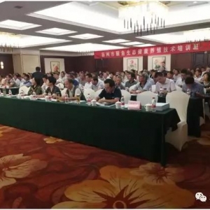 �P���Z�~���B�����Bֳ���g��ӖԔ���Pӛ