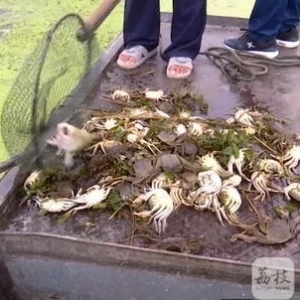 ͻ�l(f��)��һҹʹʧ5000���f(w��n)Ԫ�����(z��i)�˵���й����15�f(w��n)ƽ������ڳ���ˮֱ�_��ɺ����s1�f(w��n)3 ...