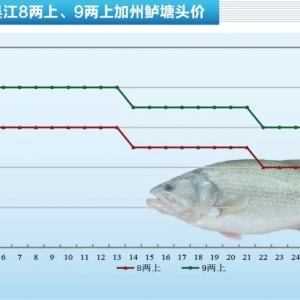 �f�~���u�⣬���~δ���У������|�r(ji��)������ֹ������������8��30�ռ����|���^�r(ji��)