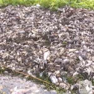 ��ɺ�3�f(w��n)�஀�з�K�ⶾ�����(y��ng)�κ���̫����(qi��ng)��(sh��)���B(y��ng)������з�r(ji��)Ҫ��(y��ng)��q��