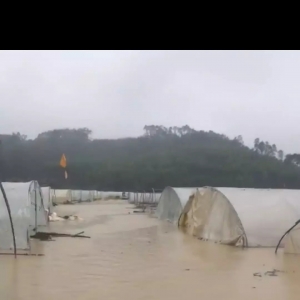 �ٮ��܈����ͣ�ä���������~�r����...�pʧ�K�أ�