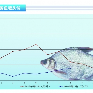 ���~���¿���m���� �r��ƽ��������ˮ�aǰ�ء�2018��9�¿��Ј�څ��