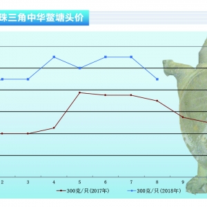 ���~�r��С����̽������ˮ�aǰ�ء�2018��9�¿��Ј�څ��