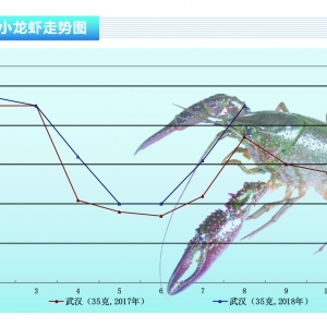 �r���Ј����������p�� С���r�r�����ϝq������ˮ�aǰ�ء�2018��9�¿��Ј�څ��