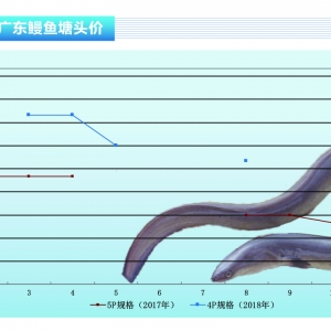 ������~�r���ϝq �Ї��_�����ձ��Ј��r���µ�������ˮ�a(ch��n)ǰ�ء�2018��9�¿��Ј�څ��
