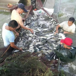 �W�䏊���ͣ���W���~�_���ž������Ј��т������~�q�r��̖������9��4�ղ��~���^�r