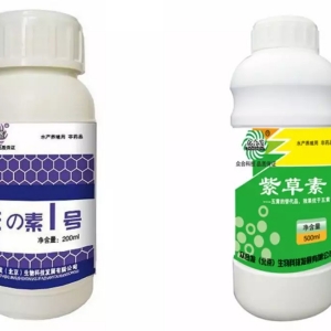 ��ġ��˵����з����e�����¼��l�l���Bֳ����ԓ��α��o�Լ���