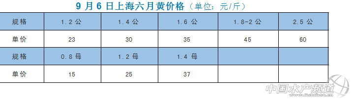 ��9��6���Ϻ������S�r��