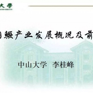 �Z�~�a�I����������ƿ�i����Ό���ͻ�ƣ�