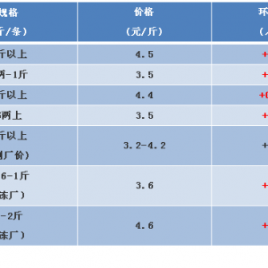 2018��9��8���_���~���^�r���麆��--�~�r��������