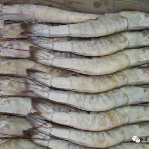 �r�r(ji��)��Ҫ������һ��(gu��)�ҼӴ�(du��)�҇�(gu��)���r��������| ��9��10�������׌�(du��)�r��(b��o)�r(ji��)