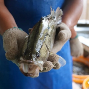 ������D���V�|�Z�~�ϝq���V���ֵ�����2018��9��14���Z�~�r������