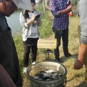 �a�~�������У��ӱ��؅^�~�r����»�0.6Ԫ