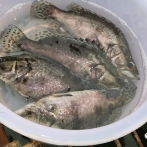 �Z�~����Z���ʸ��_85%�� ������Ҫ�Z50�fβ������������ô����