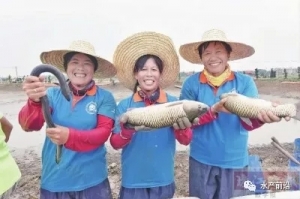 ���ؚg�c�ׂ����Ї��r���S�չ���