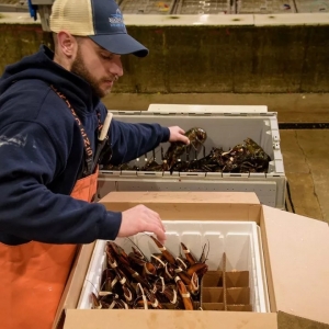 �������r����������ô��N���Ї�������ɫ�Q�ס����l�O����n