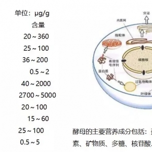 ��ĸ���B��I�B��ȫ�������H���{��Ⱥ�Y����߀�ܸ������|�Lζ