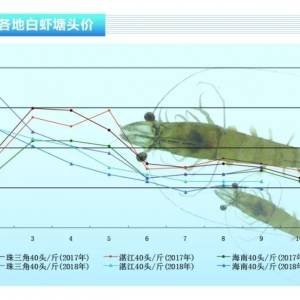 ��(du��)�r���_(t��i)�L(f��ng)ɽ���^(gu��)�����﹝(ji��)ǰ�r�r(ji��)������������ˮ�a(ch��n)ǰ�ء�2018��10�¿��Ј�(ch��ng)څ��(sh��)