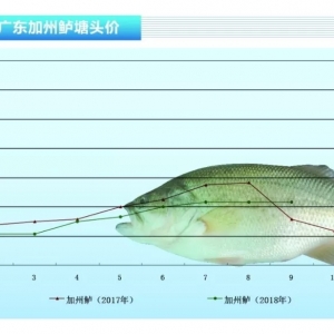 �����|��������~���У��~�r�»����ء�����ˮ�aǰ�ء�2018��10�¿��Ј�څ��