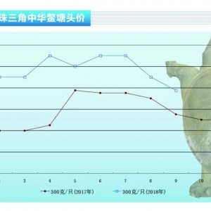 ���~�����¼��~�r��̽�׻���������ˮ�aǰ�ء�2018��10�¿��Ј�څ��