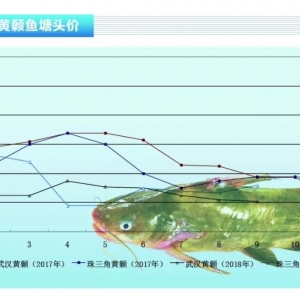 �S��~���V�|�؅^�K��ֹ������������ˮ�aǰ�ء�2018��10�¿��Ј�څ��