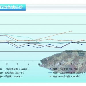 ʯ���~���r���M(j��n)���ϝqͨ��������ˮ�a(ch��n)ǰ�ء�2018��10�¿��Ј�څ��