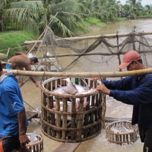 ��ɳ�~�ٝq5-10Ԫ/����Խ�Ϲ��S�چΣ��Ј�������Ҏģȱ؛��δ��߀���q���٣���