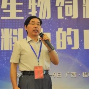 ���������a�l����ϣ����µĳ����O���о��Mչ���@��