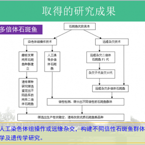 ����:ʯ���~�����о��ı�Ҫ�ԣ����L�Ƴ�ʯ���~����M�����D�V�����ܶ��z���D�V