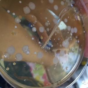 �߮a�����B�r��ν����������������D���S�㡢���庰��߀����������