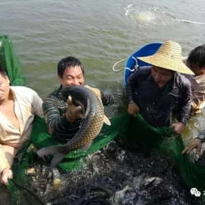 ����yʮ�����~�r���[����Ѫ�������\ݔ����������������ô�k��