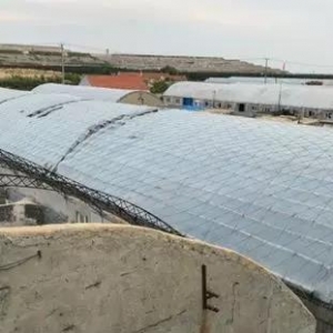 ���S���B�rÿ�����r20�ӯ��25�f������Ό��F��