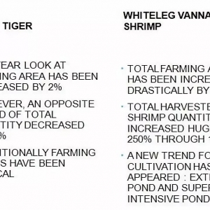 ������؛��Խ��߅�Q�M���Ї����r�aƷ�p�٣�δ���r�������L߀���Ї��Ј�